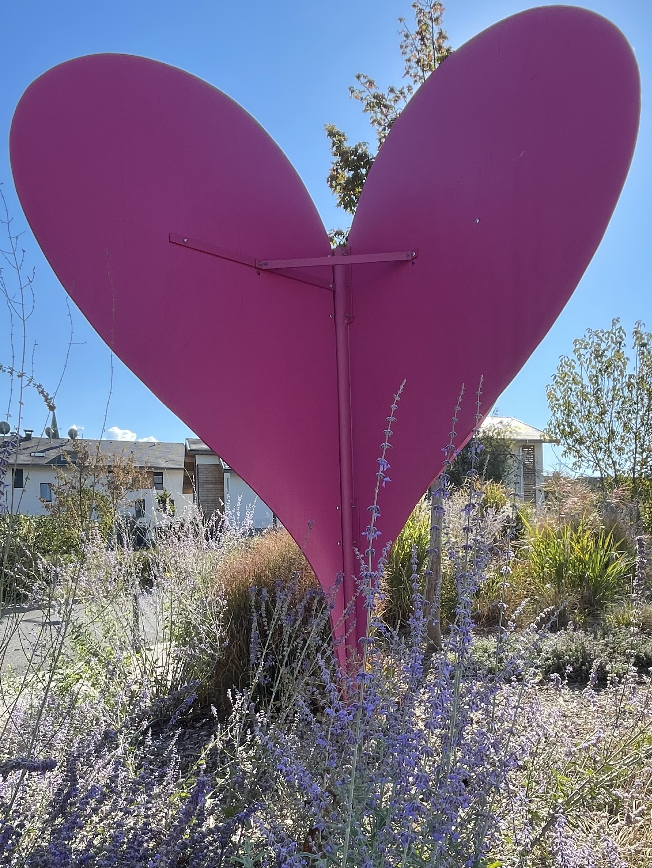 Photo octobre rose